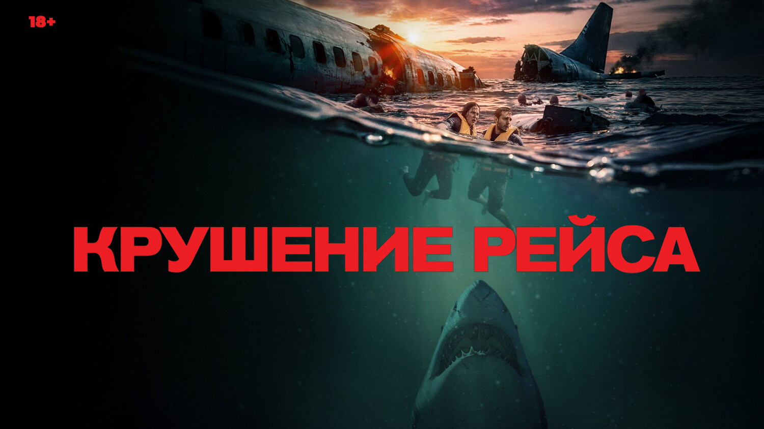 Крушение рейса