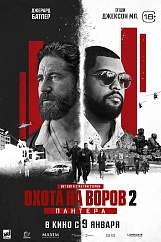 Охота на воров 2: Пантера