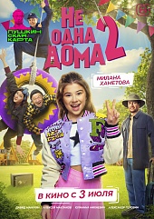 Не одна дома 2