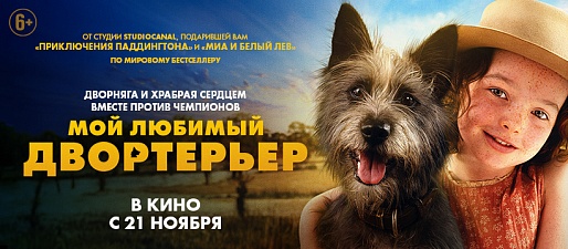 Мой любимый двортерьер