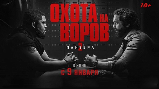 Охота на воров 2: Пантера