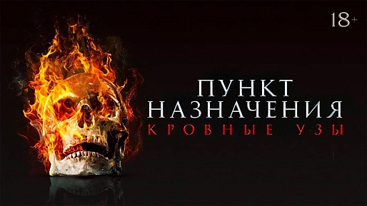 «ПУНКТ НАЗНАЧЕНИЯ: УЗЫ КРОВИ»,  предсеансовое обслуживание кинофильма «Напугай меня»